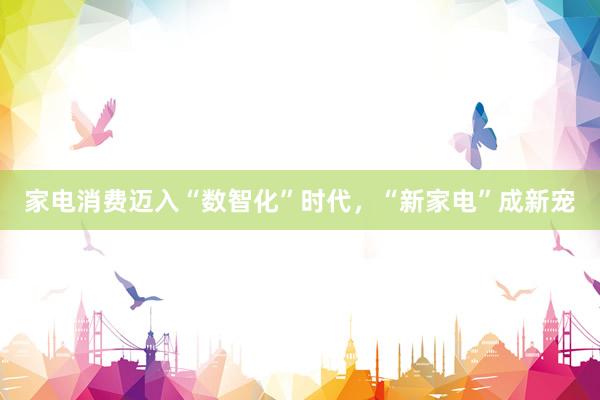 家电消费迈入“数智化”时代，“新家电”成新宠