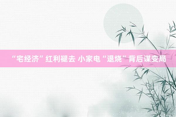 “宅经济”红利褪去 小家电“退烧”背后谋变局