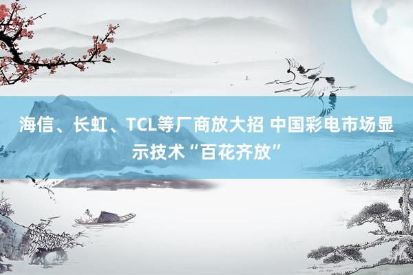 海信、长虹、TCL等厂商放大招 中国彩电市场显示技术“百花齐放”